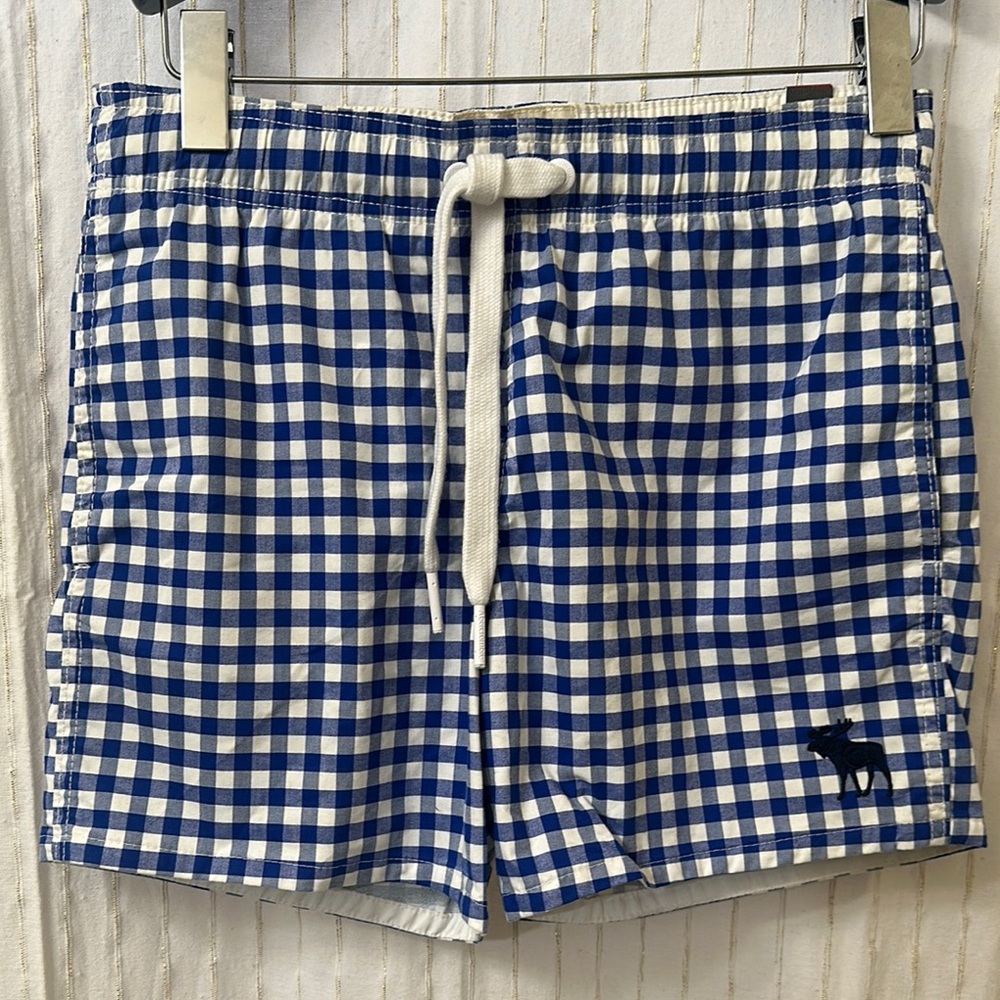 Abercrombie & Fitch Blue and White Gingham Swim Shorts
